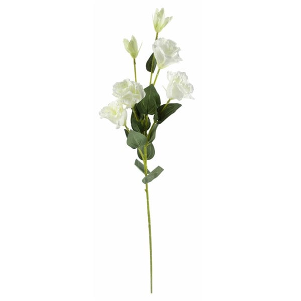 Leaf Pack of 6 x 80cm Artificial White Wild Rose Stem - 36 Flowers