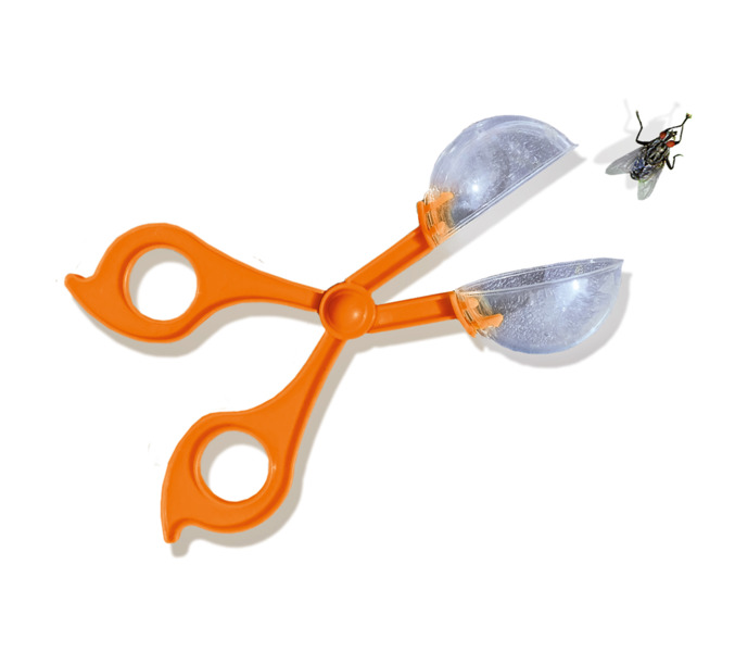 SES Creative Insect explorer