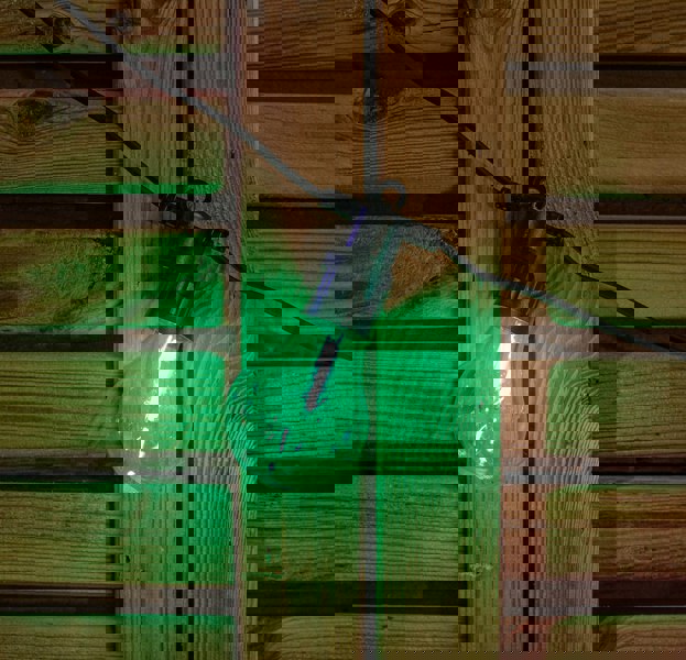 Samuel Alexander Set of 20 Indoor Outdoor Connectable Festoon Lights with Multi-Coloured LEDs