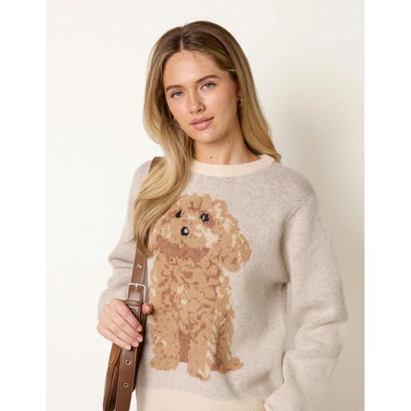 Blue Vanilla Knitted Round Neck Dog Jumper