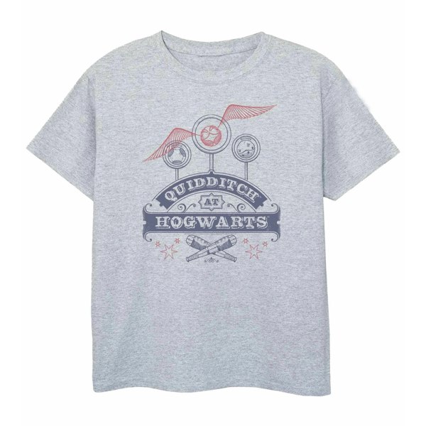 Harry Potter Boys Quidditch T-Shirt - Sports Grey