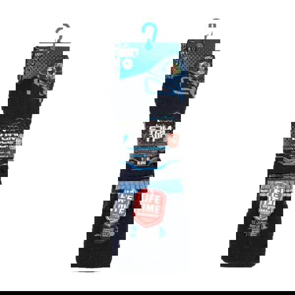 t4option1_1