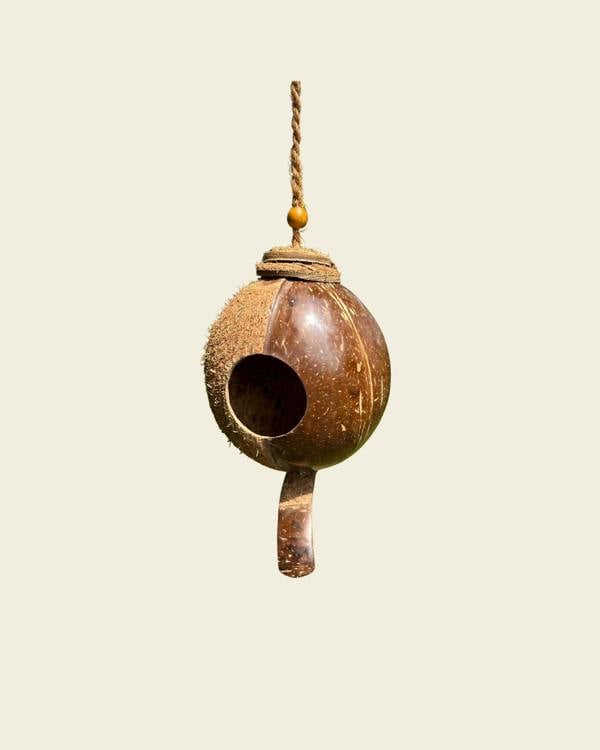 CoirProducts Shell Bird Nest