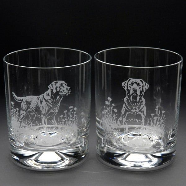Glyptic Glass Art Labrador Dog Whiskey Tumbler Glass - Hand Etched/Engraved Gift