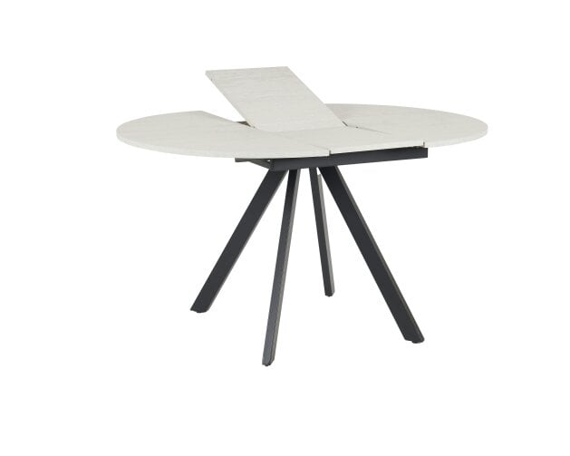 Outdoor Living Harley Extendable Dining Table