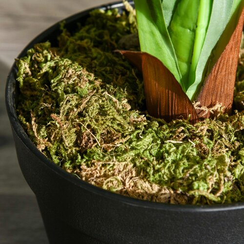 Wyld Haus Pala Artificial Indoor Green Plant In Decorative Pot 110cm