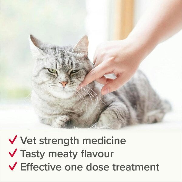 Beaphar WORMclear for Cats and Kittens (2 Tablets)
