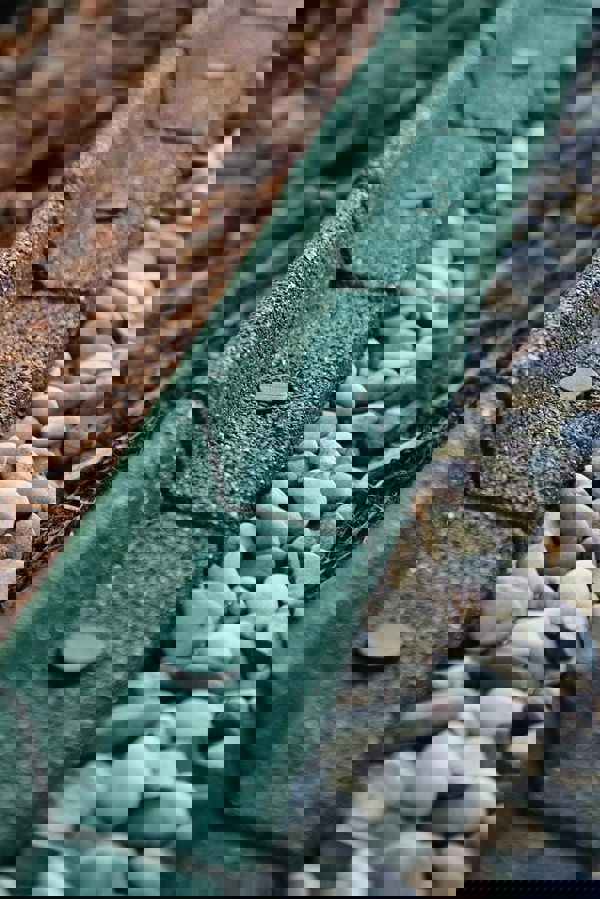 FlexiBorder Sage FlexiBorder