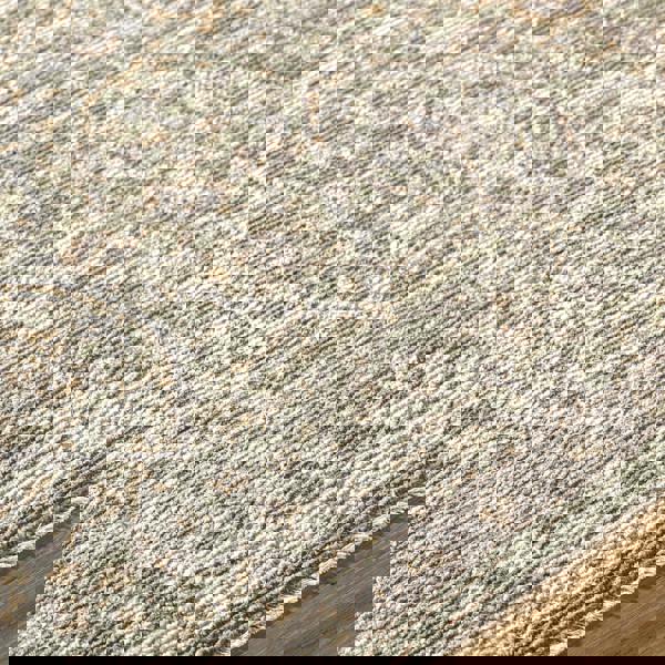 Livabliss Galey Alix Myrtle Avenue-Vintage Brown Green Grey Traditional Boho Fringe Rug