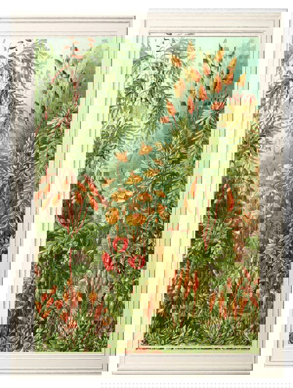 Exceptional Art C.1904 Study Of Ferns Print