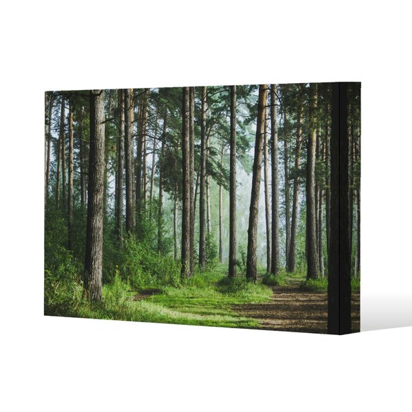 Benjamin Tate Design Beautiful summer forest with different trees Slim Style Canvas Print  90x120cm , 15mm Slim Real wood.