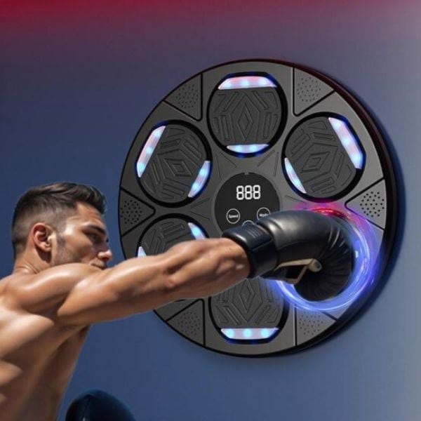 Leaper Sports Training Smart Musical Boxing Targets