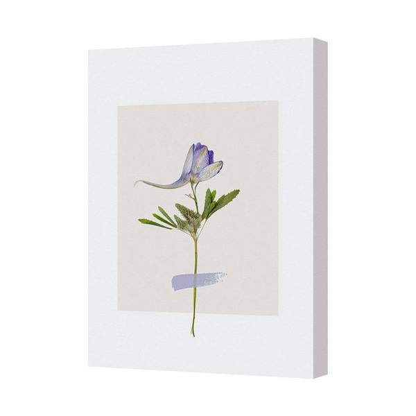 Benjamin Tate Design Delicate Floral Botanical Canvas Wall Art Print 5929