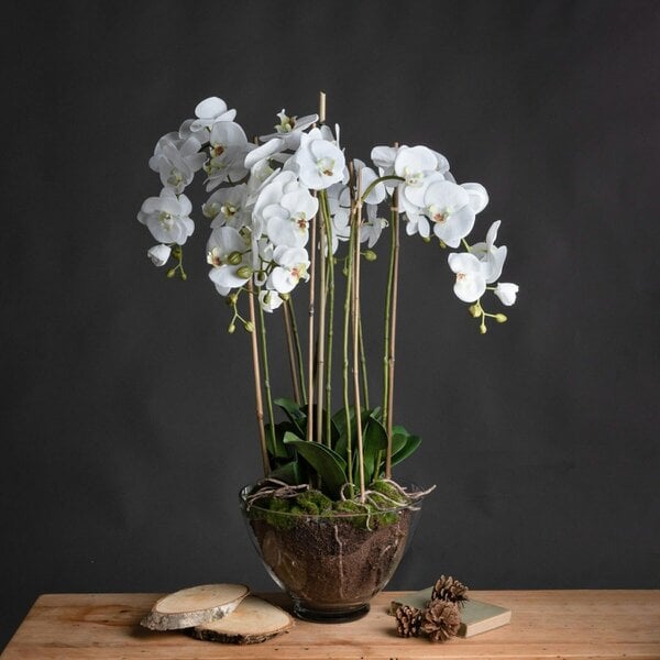 Wyld Haus Artificial Flowers Large White Orchid in Glass Pot
