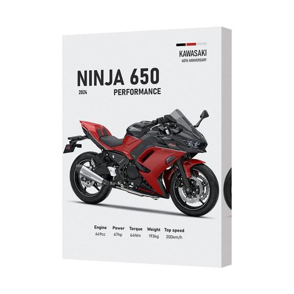 Benjamin Tate Design Kawasaki Ninja 650 Performance Canvas Print Motorcycle Wall Art Handmade in UK