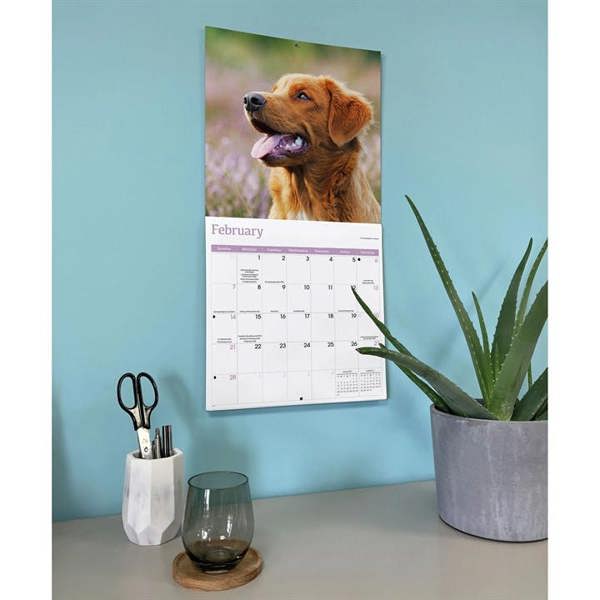 Nova Scotia Duck Tolling Retriever Calendar 2027, Wall Calendars, Month To View, Dogs, Gift