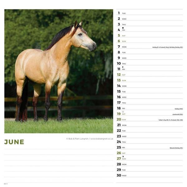 Horses Calendar 2027, Wall Calendars, Month To View, Animals, Gift