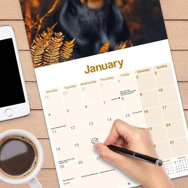 Dobermann Calendar 2027, Wall Calendars, Month To View, Dogs, Gift