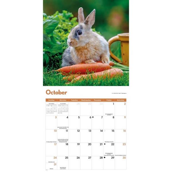 Rabbits Calendar 2027, Wall Calendars, Month To View, Animals, Gift