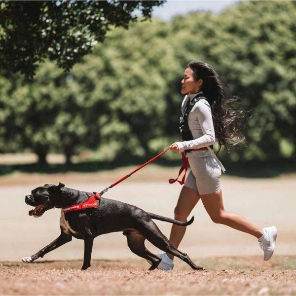 EzyDog Road Runner Dog Lead in Red