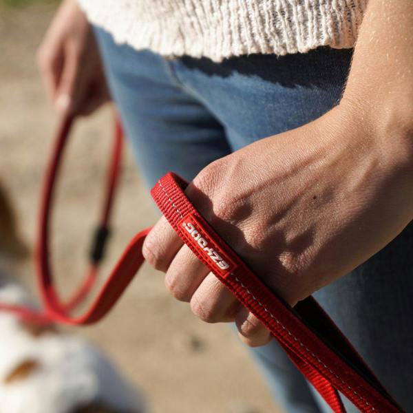 EzyDog Zero Shock Dog Lead in Red