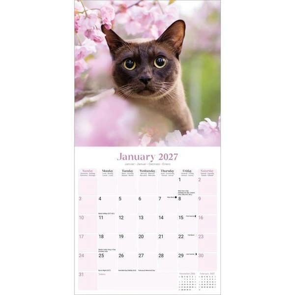 Burmese Cats Calendar 2027, Wall Calendars, Month To View, Cats, Gift