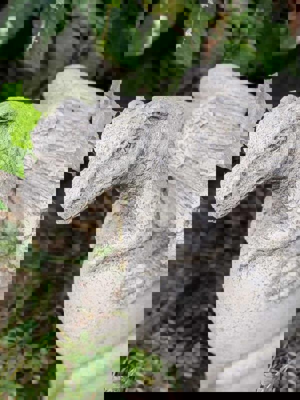 Solid Stone Cast Dragon on Ball Garden Ornament