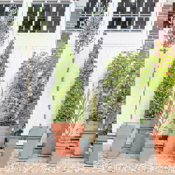 #color_sage