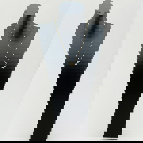 T. H. Baker 9ct Yellow Gold Interlinked Rings Necklace 1.19.6594