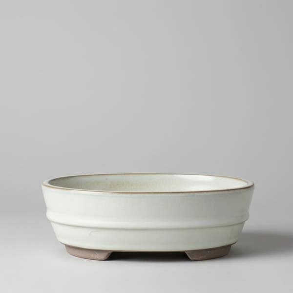 Yorkshire Bonsai 16cm Glazed Bonsai Pot | Oval | 16cm x 12cm x 3cm | White
