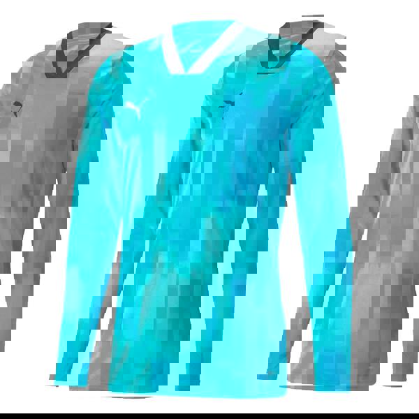 Puma Mens Teamtarget Long-Sleeved Goalkeeper Jersey - Blue