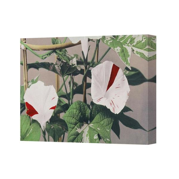 Benjamin Tate Design Canvas Wall Art Floral White Flowers With Green Leaves Botanical Decor