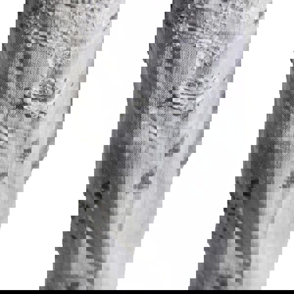 Dsquared2 Skater Jeans Grey W32