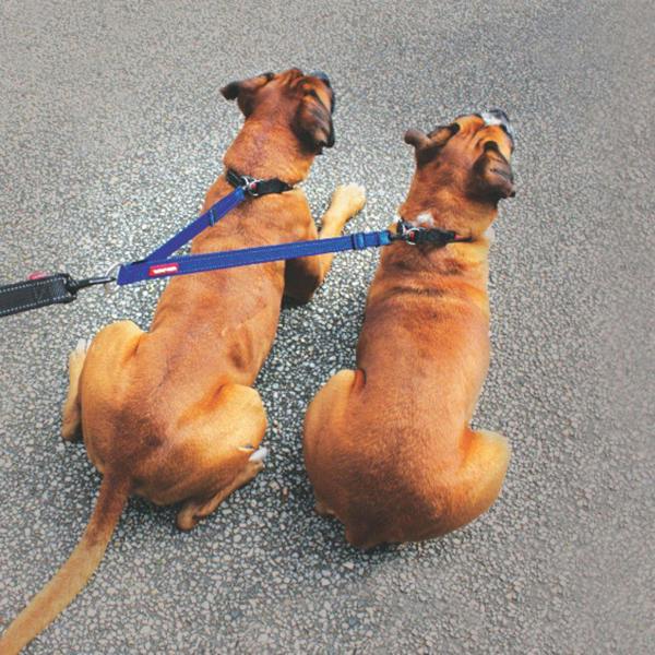 EzyDog Soft Touch Dog Lead Coupler
