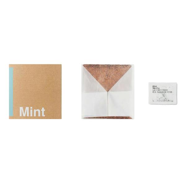 MidOcean Mint Herb Seeds - Beige - 