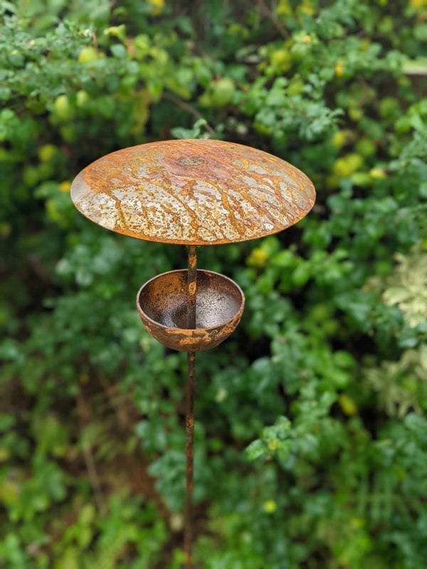 bird feeding station