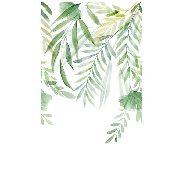 Grandeco Ginko Watercolour Trailing Leaves and Fronds 3 lane Repeatable Wallpaper Mural, 1.59 x 2.8m, Green