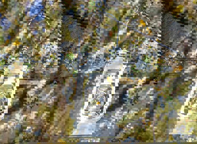 Feuerhand Hurricane Lantern Baby Special 276