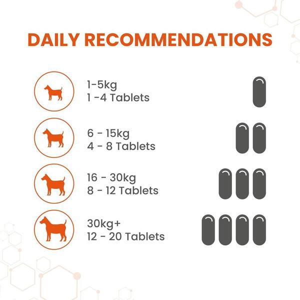 Bob Martin Vetzyme Dog Conditioning Tablets (3000 Tablets)