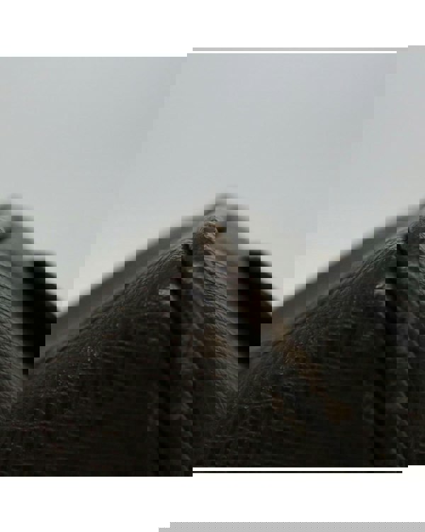 168275979.jpg