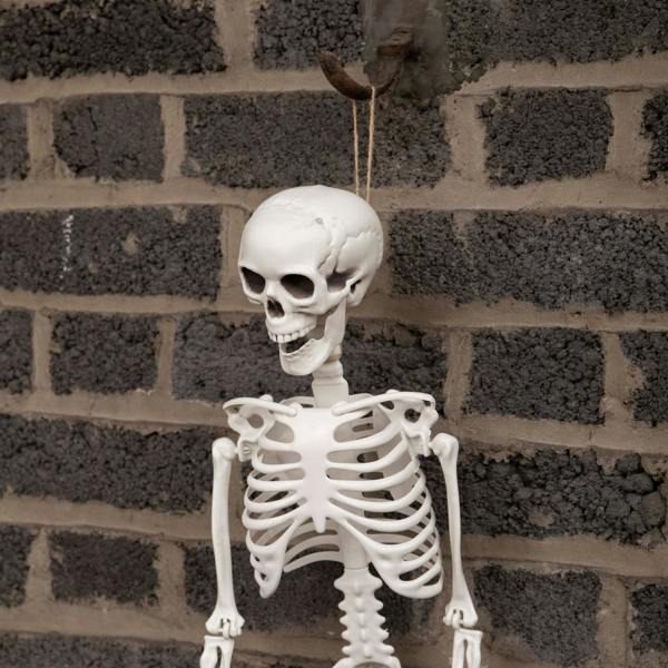 Samuel Alexander 3ft (90cm) Posable Full Body Halloween Skeleton Decoration with Movable Joints