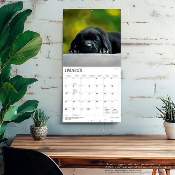 Black Lab Puppies Calendar 2027, Wall Calendars, Month To View, Dogs, Gift