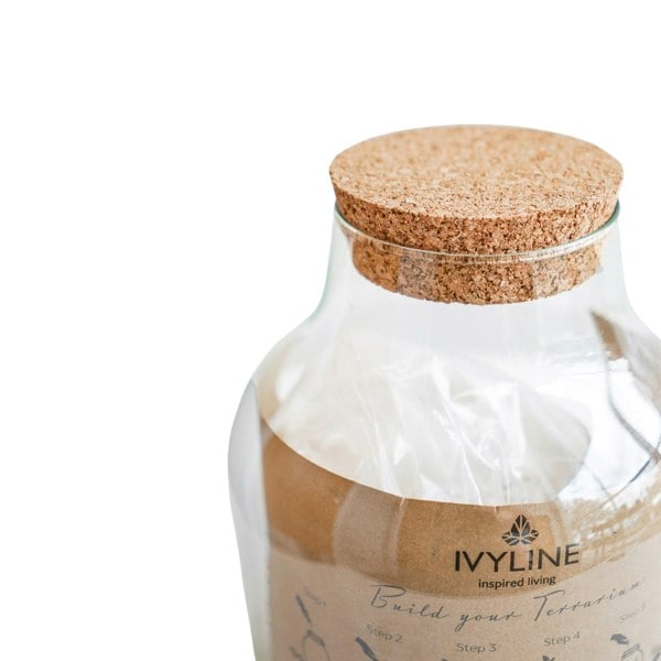 Ivyline Angluar Glass Small Terrarium DIY Kit