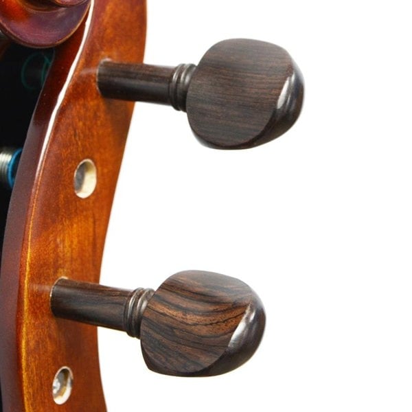 Forenza Prima 2 Cello Outfit - 3/4 Size Cellos and Double Basses