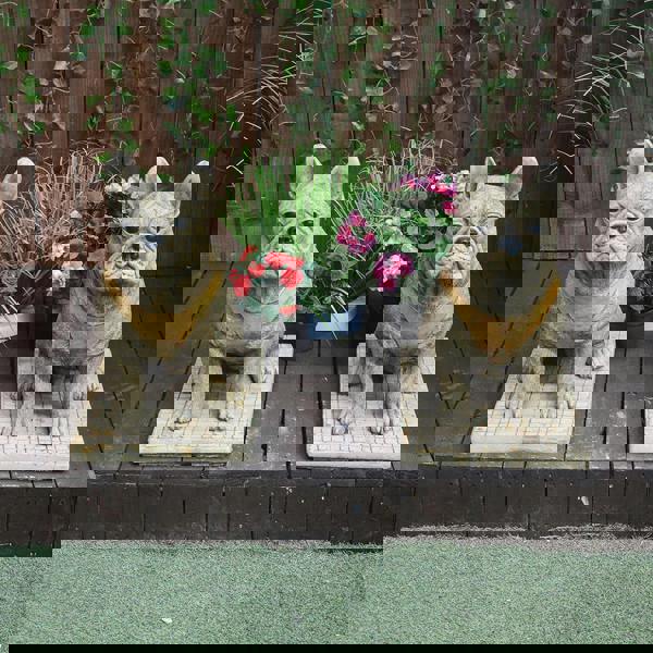 Pair of Life Size French Bulldog Statues