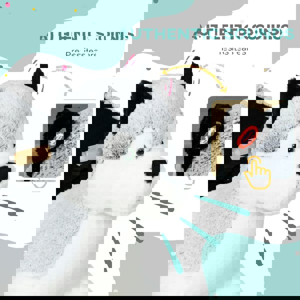 330-162V00GY