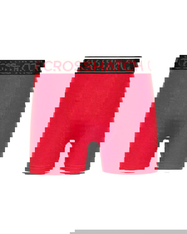 Crosshatch Highlighter Boxers 12pk Assorted