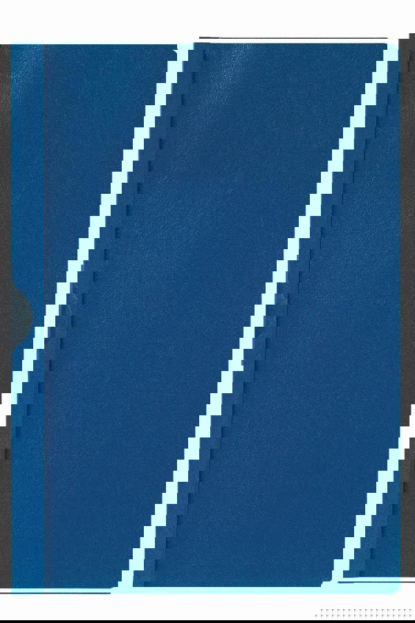 Durable EUROCLIP 30 Sheet Document Metal Clip File Folder | 25 Pack | A4 Blue