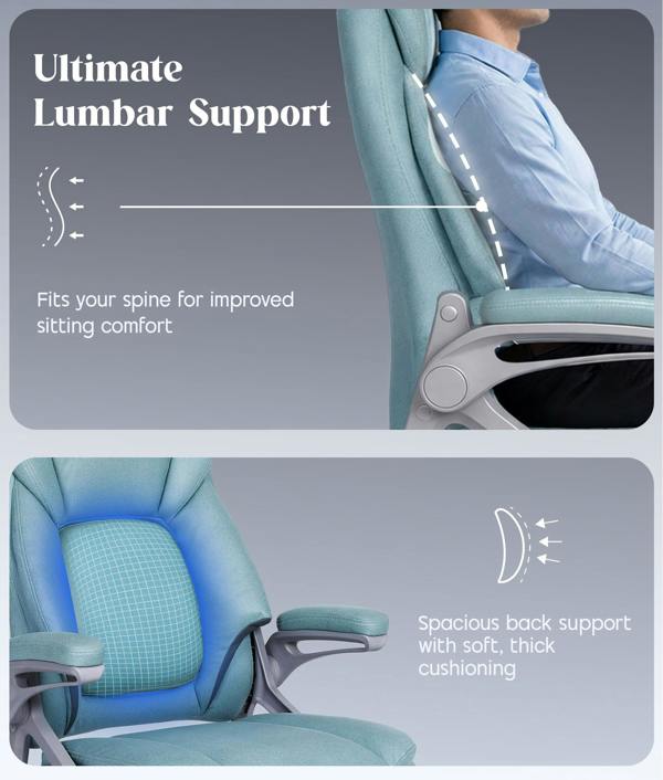 ADOV Executive Office Chair with Padded Flip-up Armrests, High Back Ergonomic Desk Chair with Lumbar Support