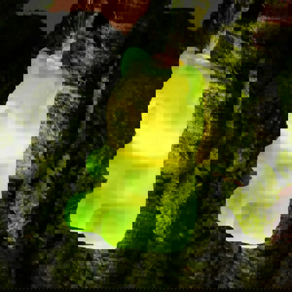 Nova Jelly Bear String Lights